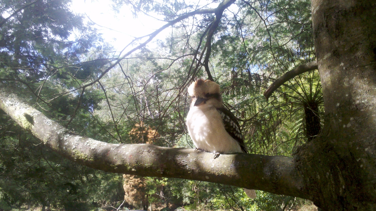 2013 04 03 12 43 32 37